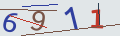 verifycode